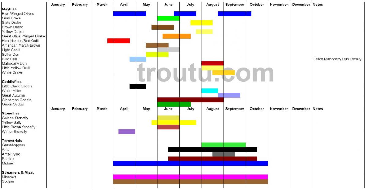 Fly Fishing Hatch Charts Trout Pro Store